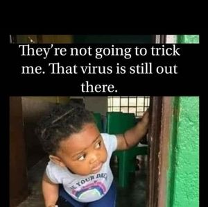 Meet your Posher, Ann